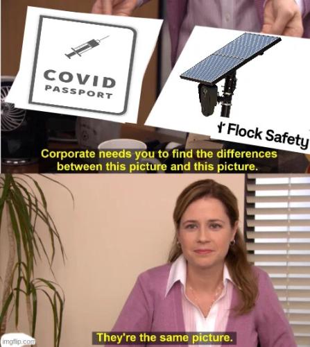 same-picture