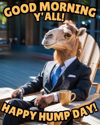 1-Hump Day