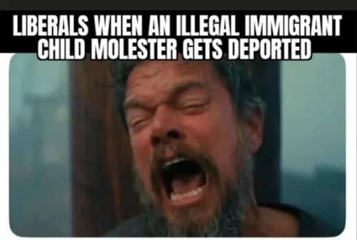 liberals-when-child-molester-deported