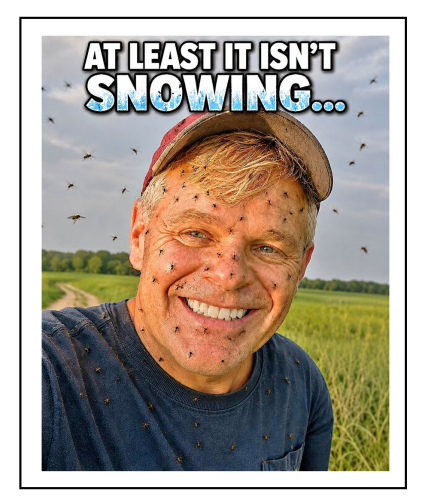 not snowing