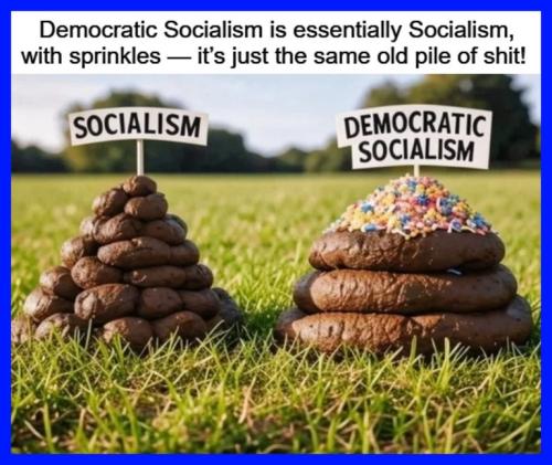 Democratic Socialism now with sprinkles.768px