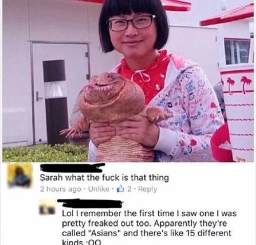 called-asians