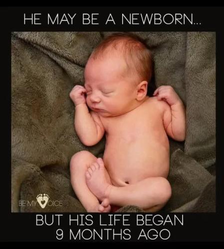 a newboprn f