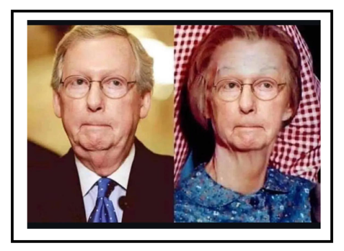 resemblance