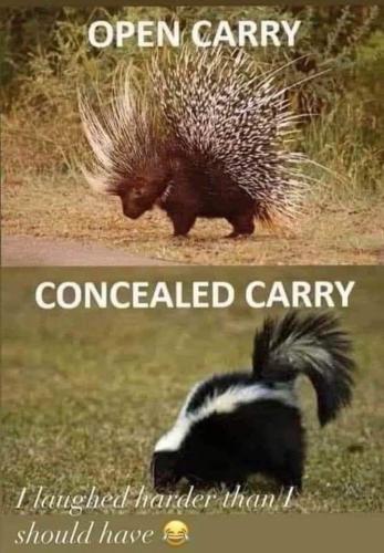 funny 627