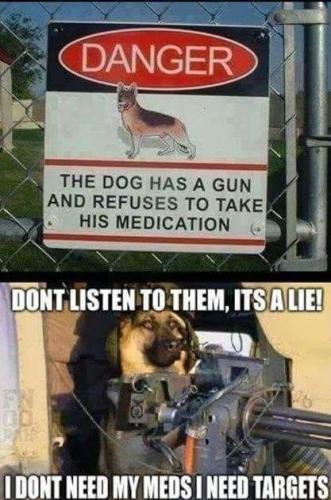 FB_IMG_1784130890324