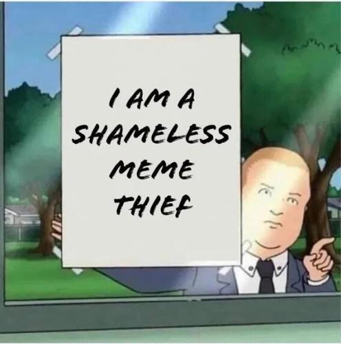 shameless-meme-thief