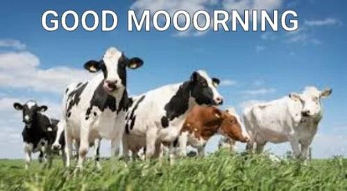 06:32:44 GMT-0500
