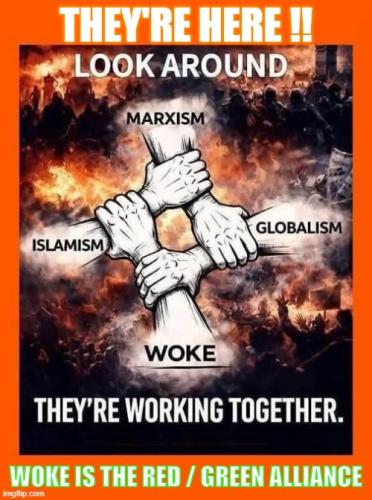Woke is the Red Green Alliance 2