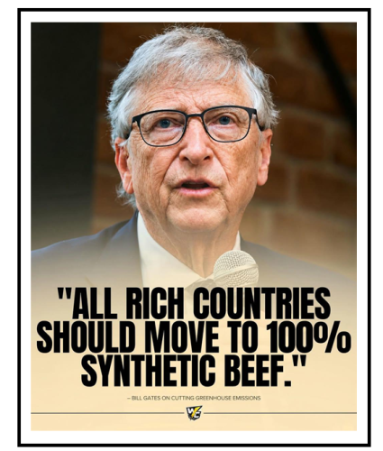 all rich countries