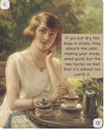 tea-bags-in-shoes