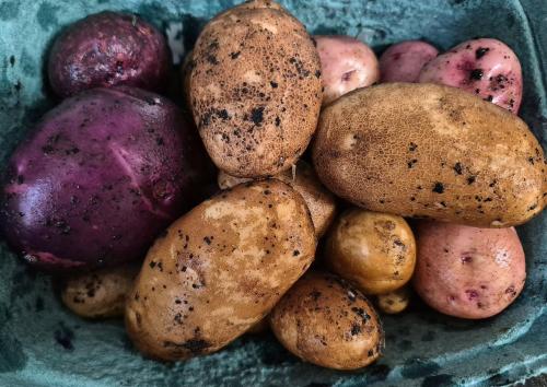 a aaaa my potatoes