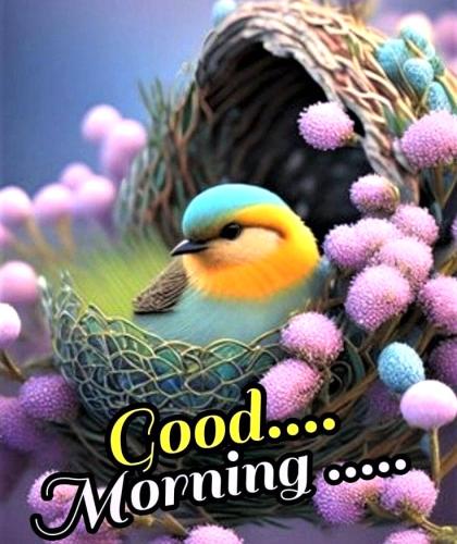 071426 - GM Birdie