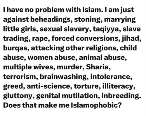 islam problem