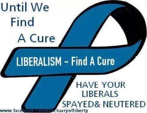 a liberal f
