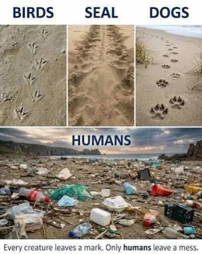 animals-leave-mark