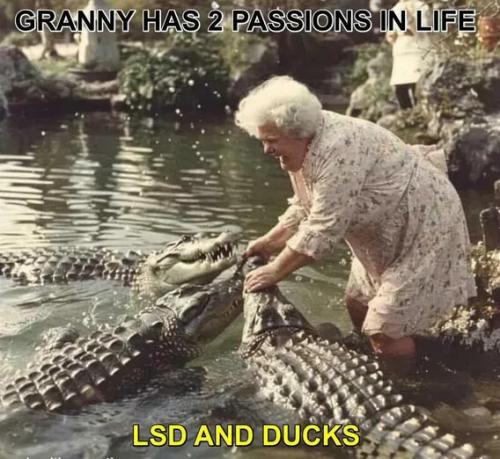 5527