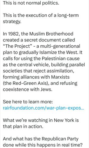 MAMDANI REDGREEN 4