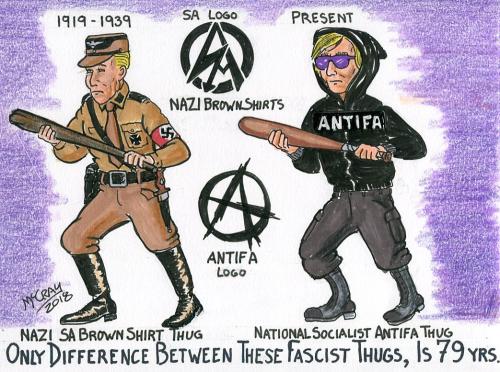 BROWNSHIRTS