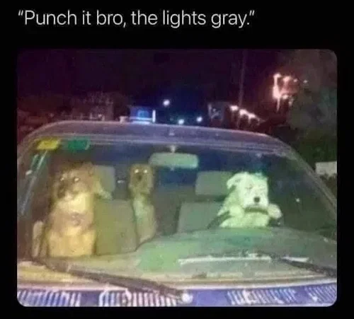 punch-it