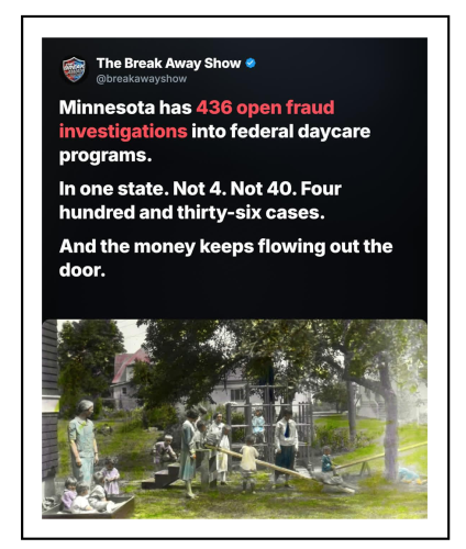 fraud cases