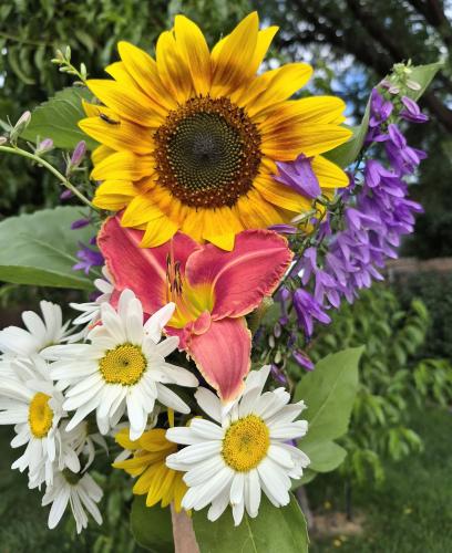 a summer bouquet