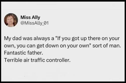 terrible-air-traffic-controller