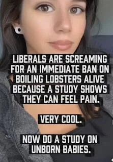 study-on-unborn-babies