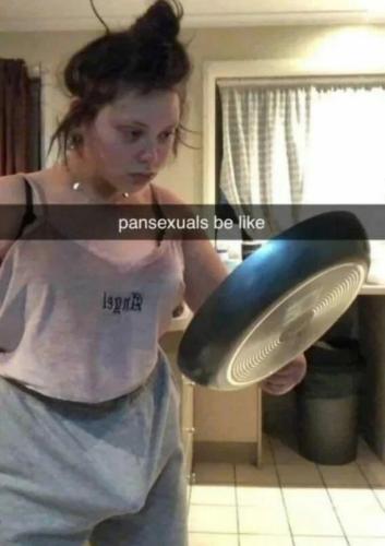 pansexuals