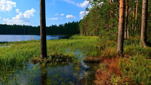 summer photos 005