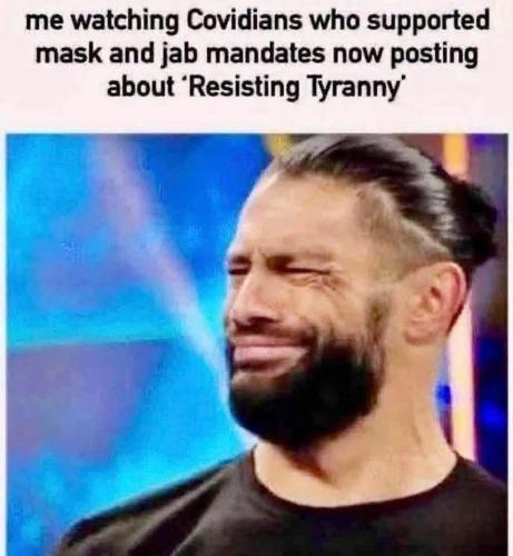 FB_IMG_1785089272134