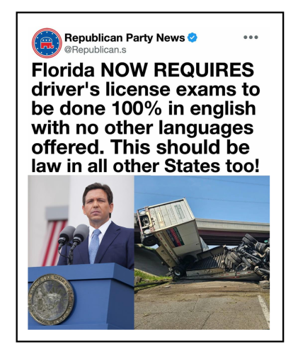 drivers licenses