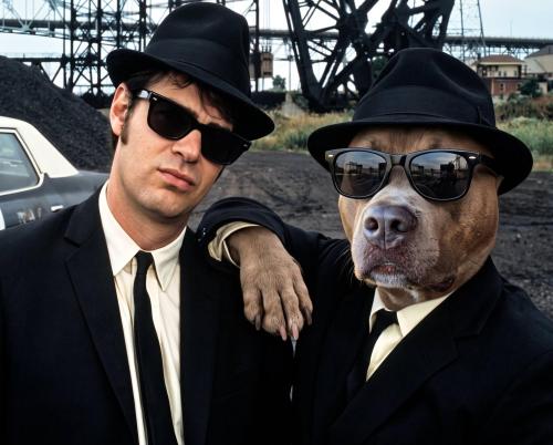 dan akroyd birthday pic