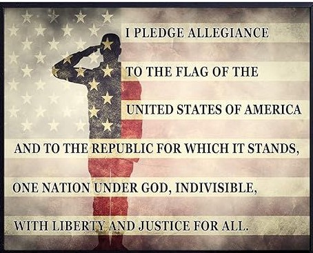 pledge 93