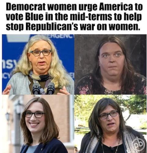 democrat-women-urge-vote-blue