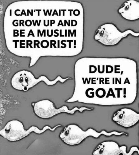 in-a-goat