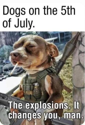 5406
