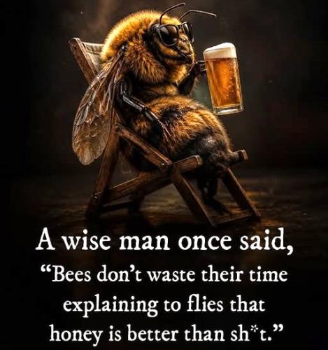 072426 - Bees vs flies