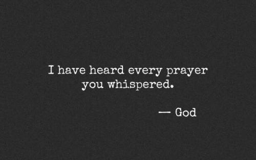 IMG_4827