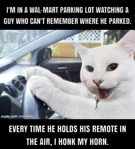 FB_IMG_1784304955703