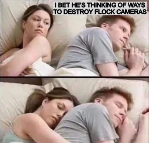 thinking-of-ways-to-destroy-flock