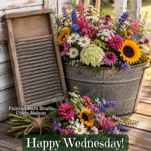 happy Wednesday