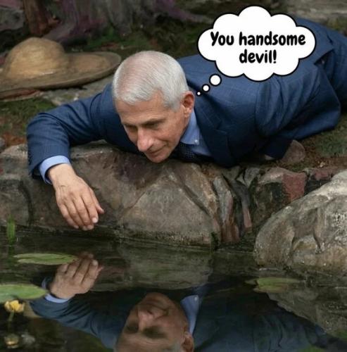 handsome-devil