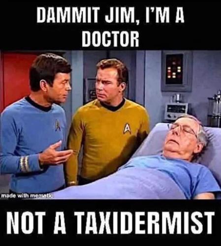 doctor-not-taxidermist