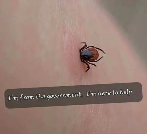 from-the-govt