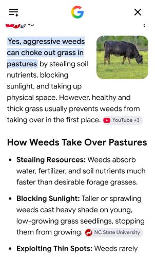 Screenshot_20260727_101923_Google(1)