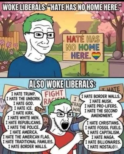 woke-liberals