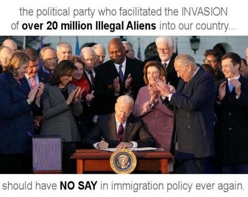 illegal immigration541