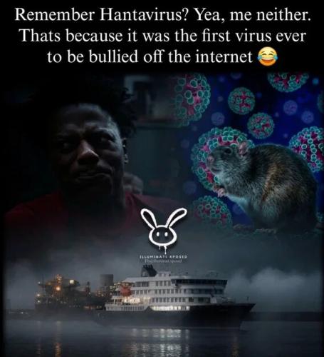 hantavirus-bullied-off-internet