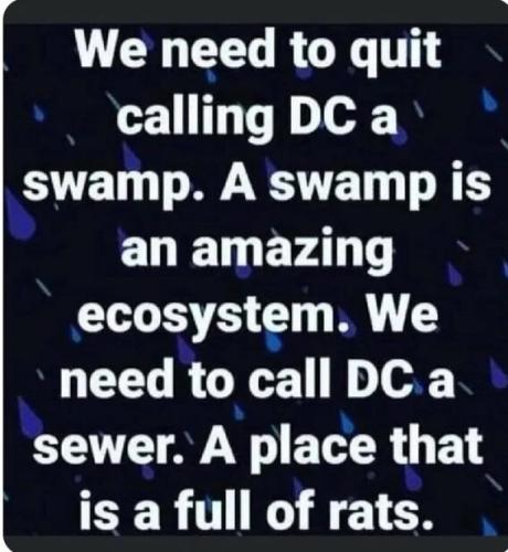 dc-is-sewer
